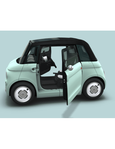 Porte avant gauche voiture sans permis Fiat...